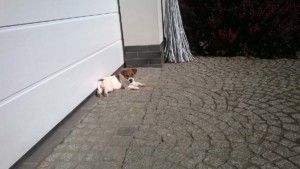 WP 20160520 08 36 15 Pro
